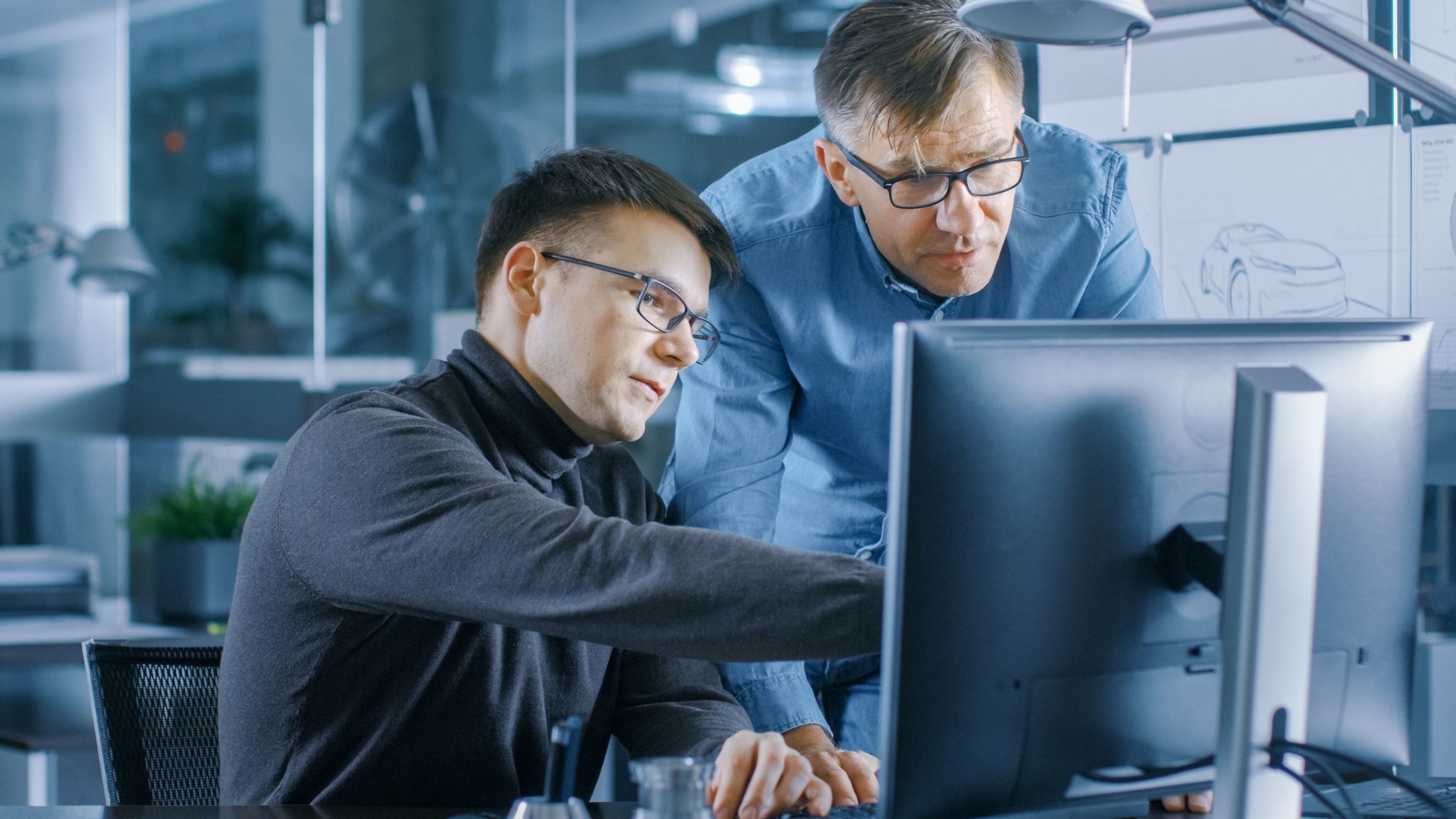 IT Analyst / Management